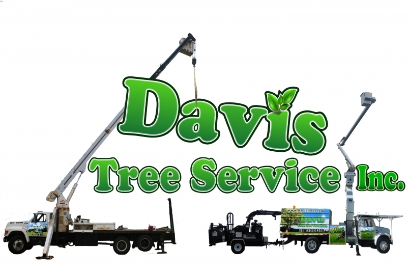 Tree Logo - Davis Tree