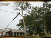 boarder-with-logs-pics-246