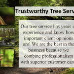 My Powerpoint presention Nuture Best 2