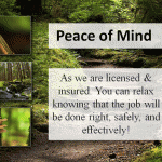 My Powerpoint presention Nuture Best 3