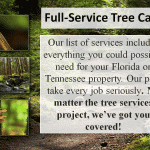 My Powerpoint presention Nuture Best 4