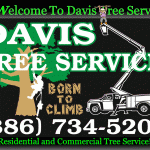 Welcome to Davis Tree Service 2
