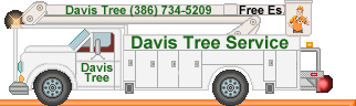animated bucket truck 1 in Green Davis Tree