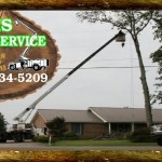 cropped-Header-Davis-Tree-Service-Logo-with-logo.jpg