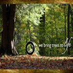 slide bar website with log border – RESIZED 440X 300