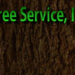 Davis – Tweeter header test 2