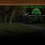 background – Davis