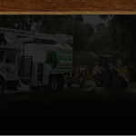 background—Tree—Davis