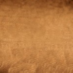 cracked-wood-background web background 2