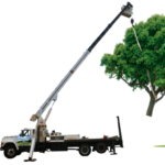 cropped-Crane-with-TREE-COMPLETED-UPLOAD.png