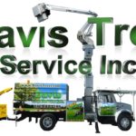 Davis-Tree—NEW-LOGO-3