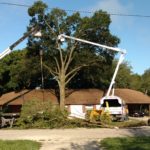 IMG_20160811_084654707