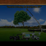 background – Davis tree – 2 NEW 2017