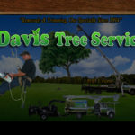 background – Davis tree – NEW