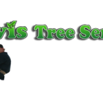 background – JOhn Davis TRee 3